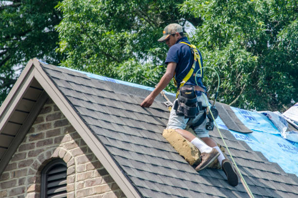 Best Storm Damage Roof Repair  in Denver, IA